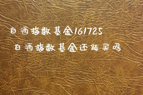 白酒指数基金161725 白酒指数基金还能买吗_https://www.dglong8.com_基金理财_第1张