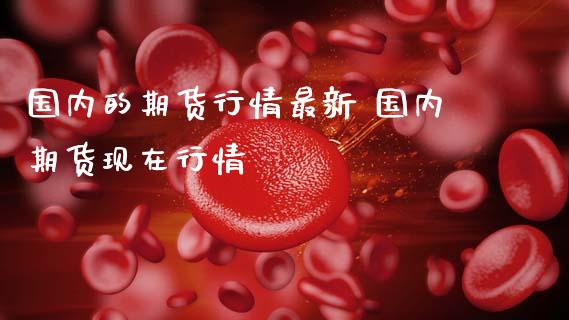 国内的期货行情最新 国内期货现在行情