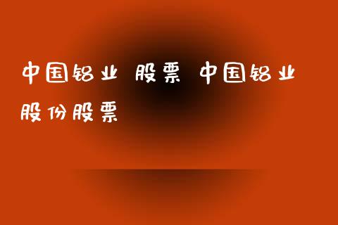 中国铝业 股票 中国铝业股份股票_https://www.dglong8.com_股票理财_第1张