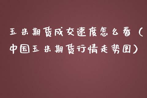 玉米期货成交速度怎么看（中国玉米期货行情走势图）