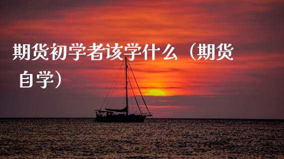 期货初学者该学什么（期货 自学）