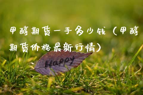 甲醇期货一手多少钱（甲醇期货价格最新行情）