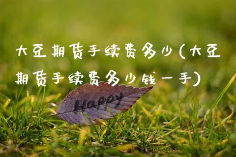 大豆期货手续费多少(大豆期货手续费多少钱一手)