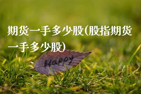 期货一手多少股(股指期货一手多少股)
