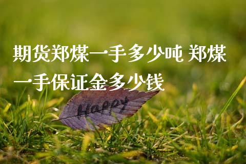 期货郑煤一手多少吨 郑煤一手保证金多少钱