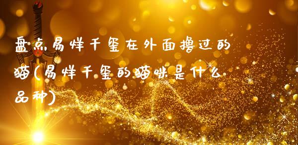 盘点在外面撸过的猫(的猫咪是什么品种)