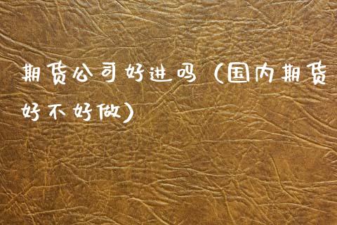 期货公司好进吗（国内期货好不好做）