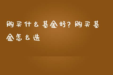购买什么基金好? 购买基金怎么选_基金理财_第1张_宇龙理财网 购买什么基金好? 购买基金怎么选_https://www.dglong8.com_基金理财_第1张