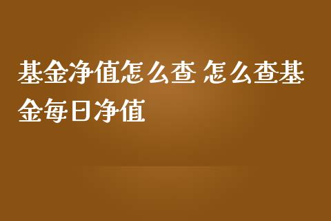基金净值怎么查 怎么查基金每日净值