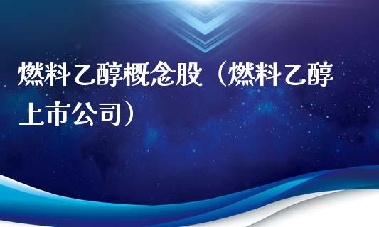 燃料乙醇概念股（燃料乙醇上市公司）