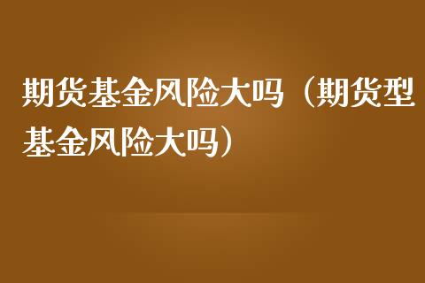 期货基金风险大吗（期货型基金风险大吗）