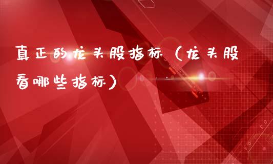 真正的龙头股指标（龙头股看哪些指标）