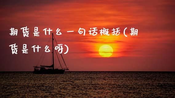 期货是什么一句话概括(期货是什么呀)
