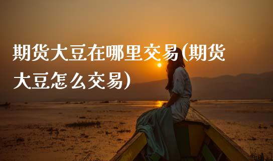 期货大豆在哪里交易(期货大豆怎么交易)