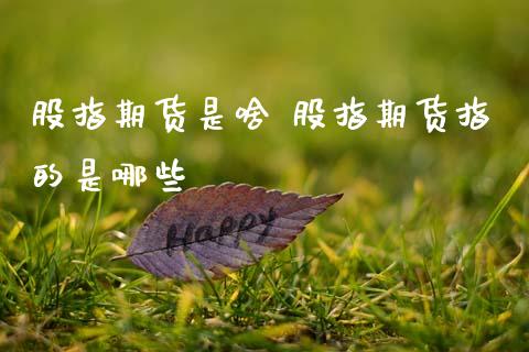 股指期货是啥 股指期货指的是哪些_理财百科_第1张_宇龙理财网 股指期货是啥 股指期货指的是哪些_https://www.dglong8.com_理财百科_第1张