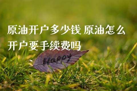 原油开户多少钱 原油怎么开户要手续费吗