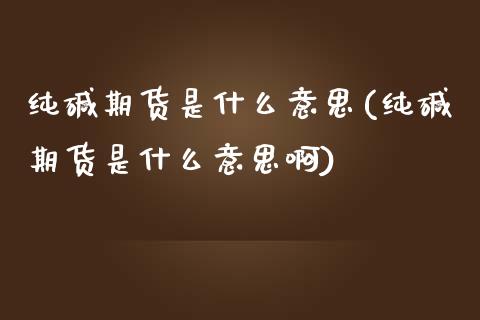 纯碱期货是什么意思(纯碱期货是什么意思啊)