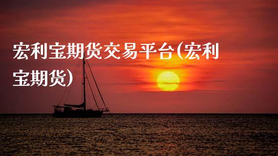 宏利宝期货交易平台(宏利宝期货)