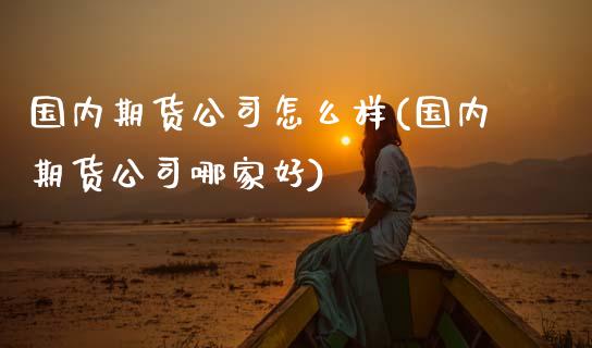 国内期货公司怎么样(国内期货公司哪家好)