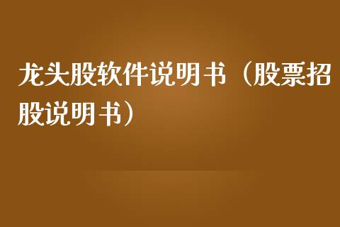 龙头股软件说明书（股票招股说明书）