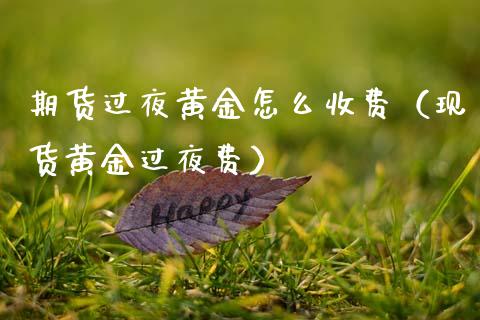 期货过夜黄金怎么收费（现货黄金过夜费）