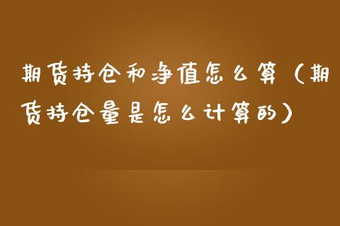 期货持仓和净值怎么算（期货持仓量是怎么计算的）