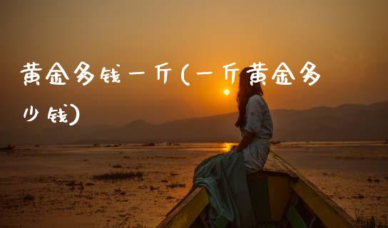 黄金多钱一斤(一斤黄金多少钱)