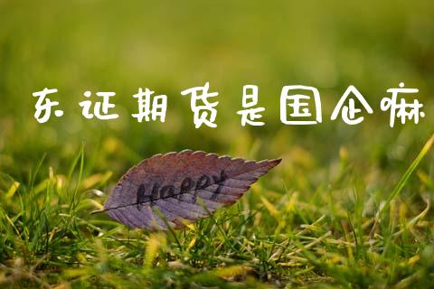 期货是国企嘛