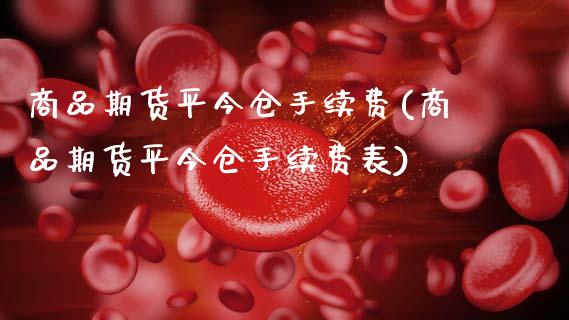 商品期货平今仓手续费(商品期货平今仓手续费表)