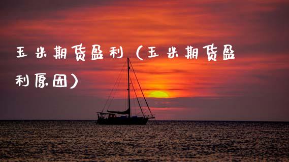玉米期货盈利（玉米期货盈利原因）