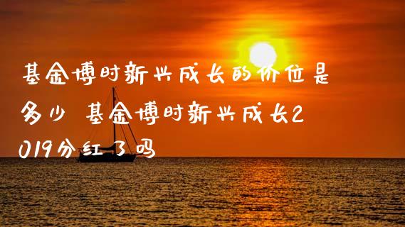 基金博时新兴成长的价位是多少 基金博时新兴成长2019分红了吗_基金理财_第1张_宇龙理财网 基金博时新兴成长的价位是多少 基金博时新兴成长2019分红了吗_https://www.dglong8.com_基金理财_第1张