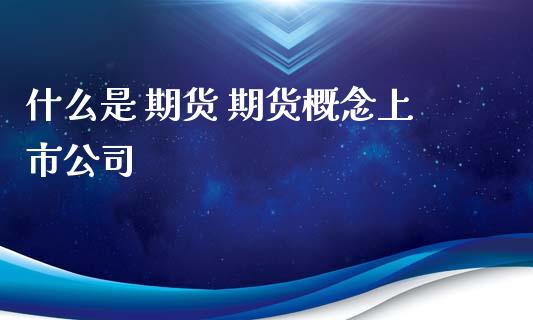 什么是 期货 期货概念上市公司