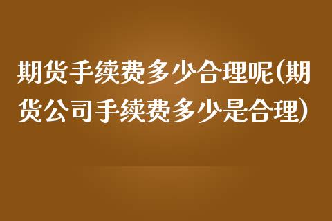 期货手续费多少合理呢(期货公司手续费多少是合理)