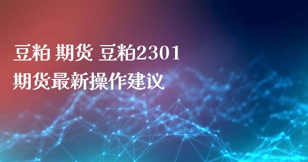 豆粕 期货 豆粕2301期货最新操作建议