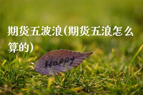 期货五波浪(期货五浪怎么算的)