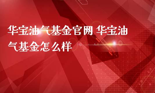 华宝油气基金 华宝油气基金怎么样_https://www.dglong8.com_基金理财_第1张