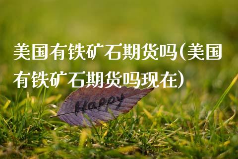 美国有铁矿石期货吗(美国有铁矿石期货吗现在)