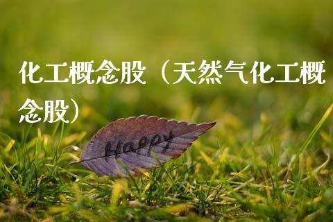 化工概念股（天然气化工概念股）