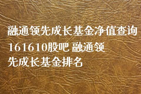 融通领先成长基金净值查询161610股吧 融通领先成长基金排名