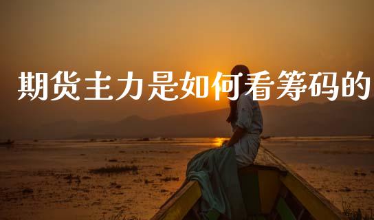 期货主力是如何看筹码的