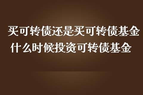 买可转债还是买可转债基金 什么时候投资可转债基金