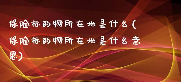 保险标的物所在地是什么(保险标的物所在地是什么意思)