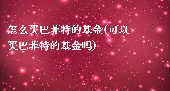 怎么买巴菲特的基金(可以买巴菲特的基金吗)