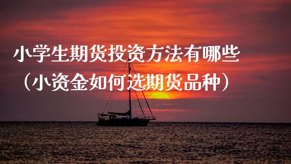 小学生期货投资方法有哪些（小资金如何选期货品种）