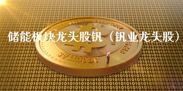 储能板块龙头股钒（钒业龙头股）