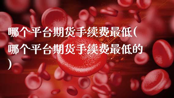 哪个平台期货手续费最低(哪个平台期货手续费最低的)