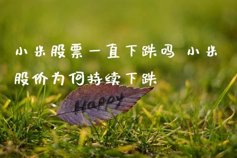 小米股票一直下跌吗 小米股价为何持续下跌_https://www.dglong8.com_股票理财_第1张