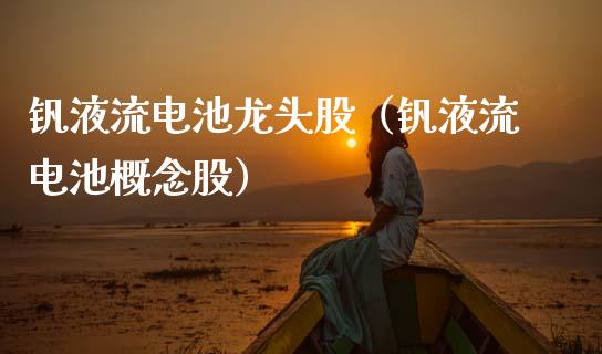钒液流电池龙头股（钒液流电池概念股）