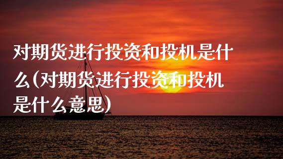 对期货进行投资和投机是什么(对期货进行投资和投机是什么意思)