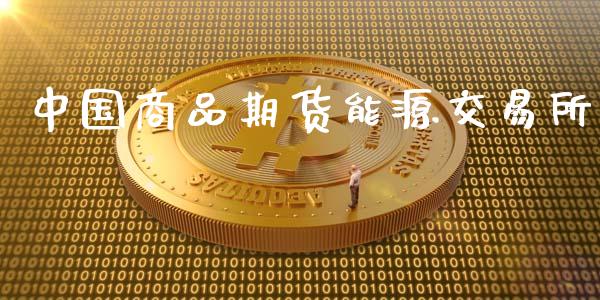 中国商品期货能源交易所